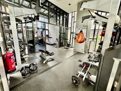 Domus (D12), Apartment #462997691